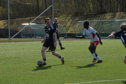 Varfjell - Kårvåg/Havørn 2025